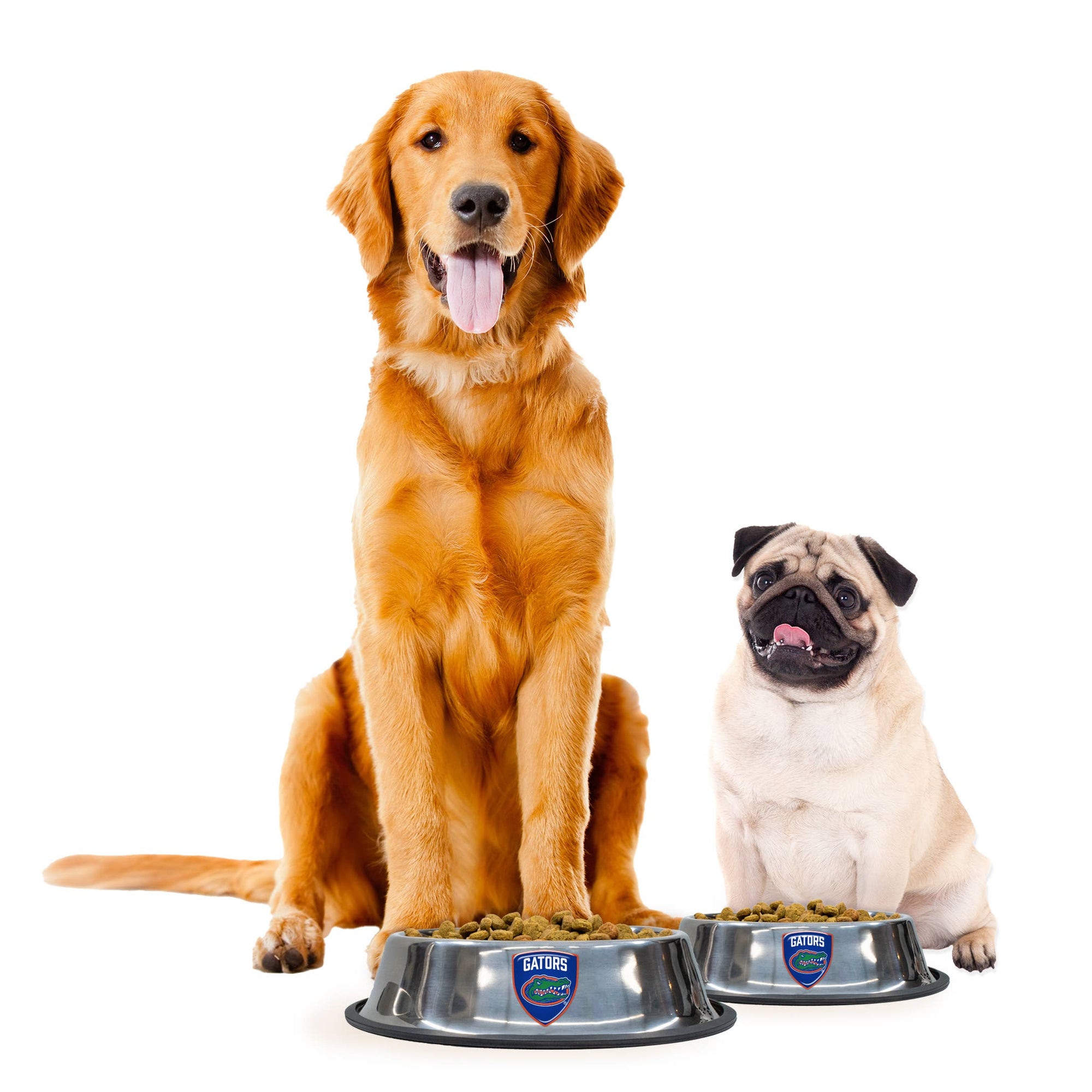 NCAA Florida Gators Everyday Pet Bowl