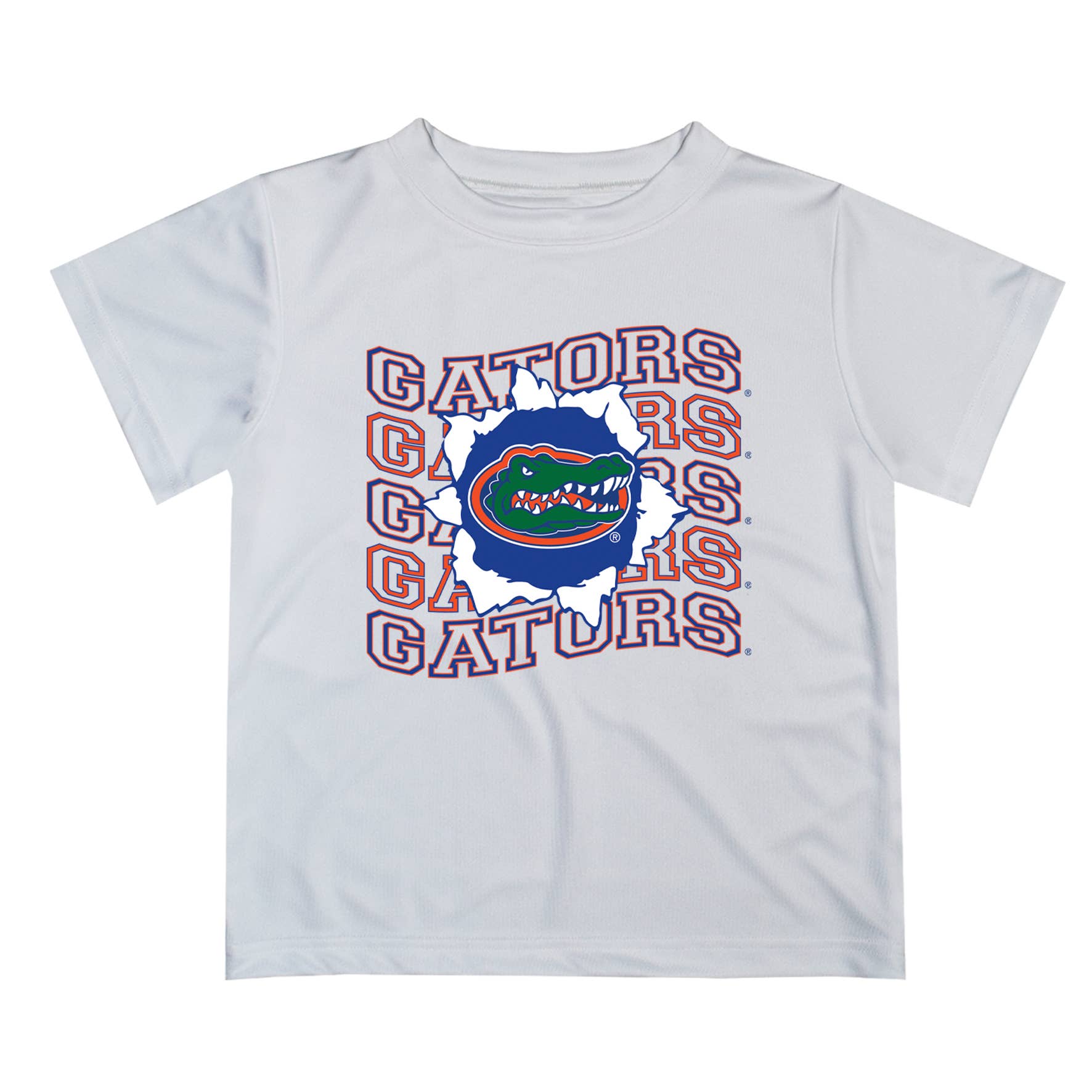 Florida Gators Art V1 Short Sleeve T-shirt: Blue / L