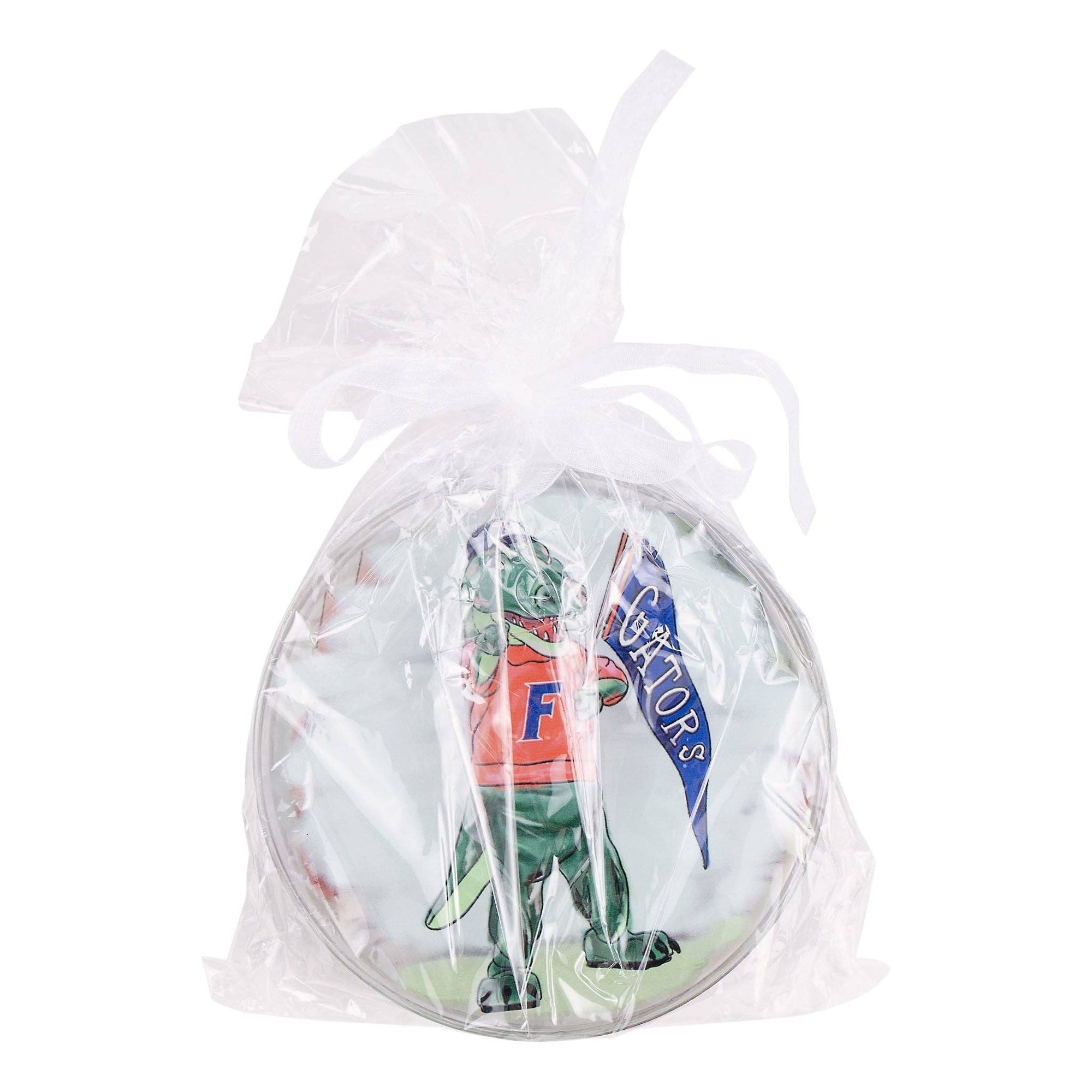 Florida  Ornament Set/4