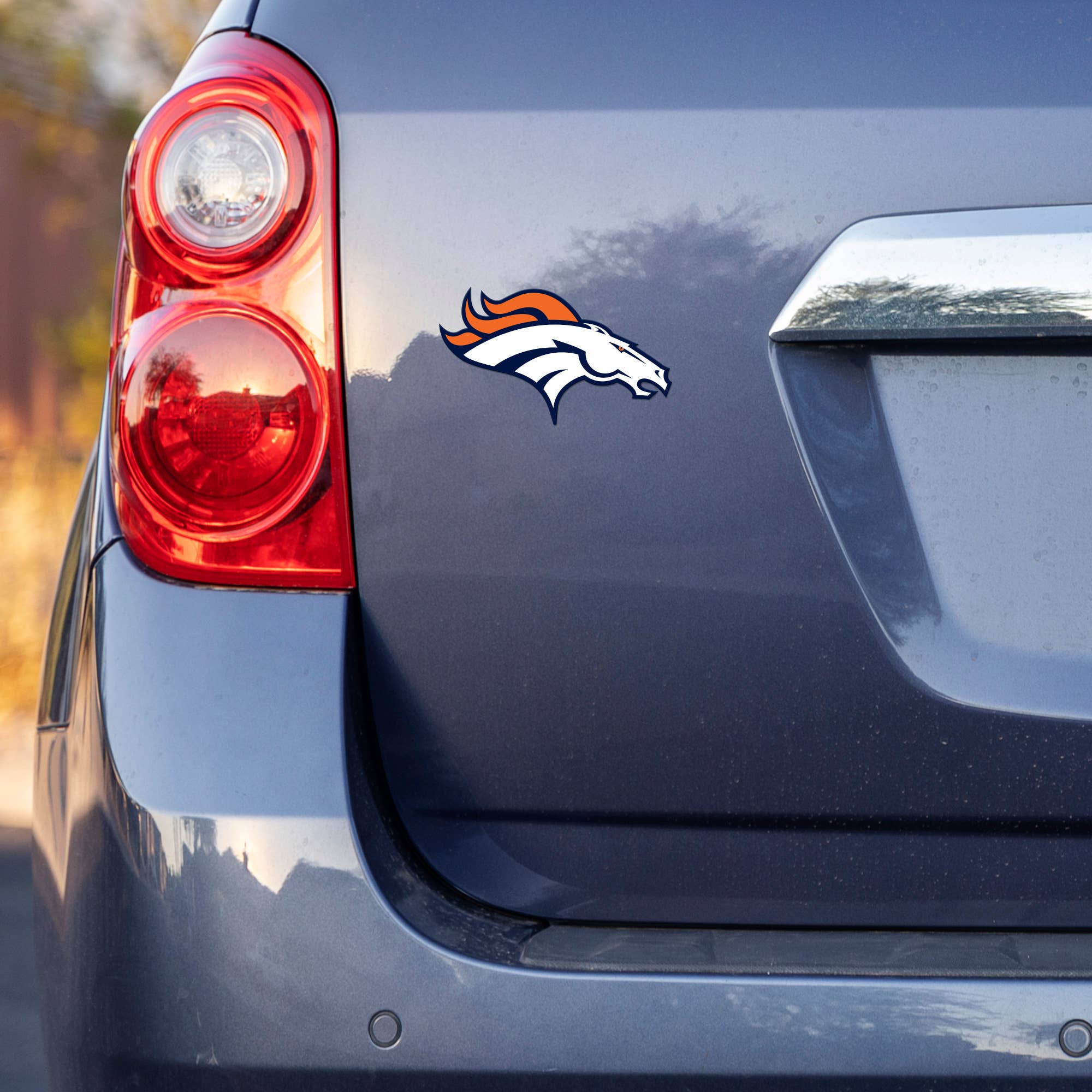 Florida Short Sport Decal
