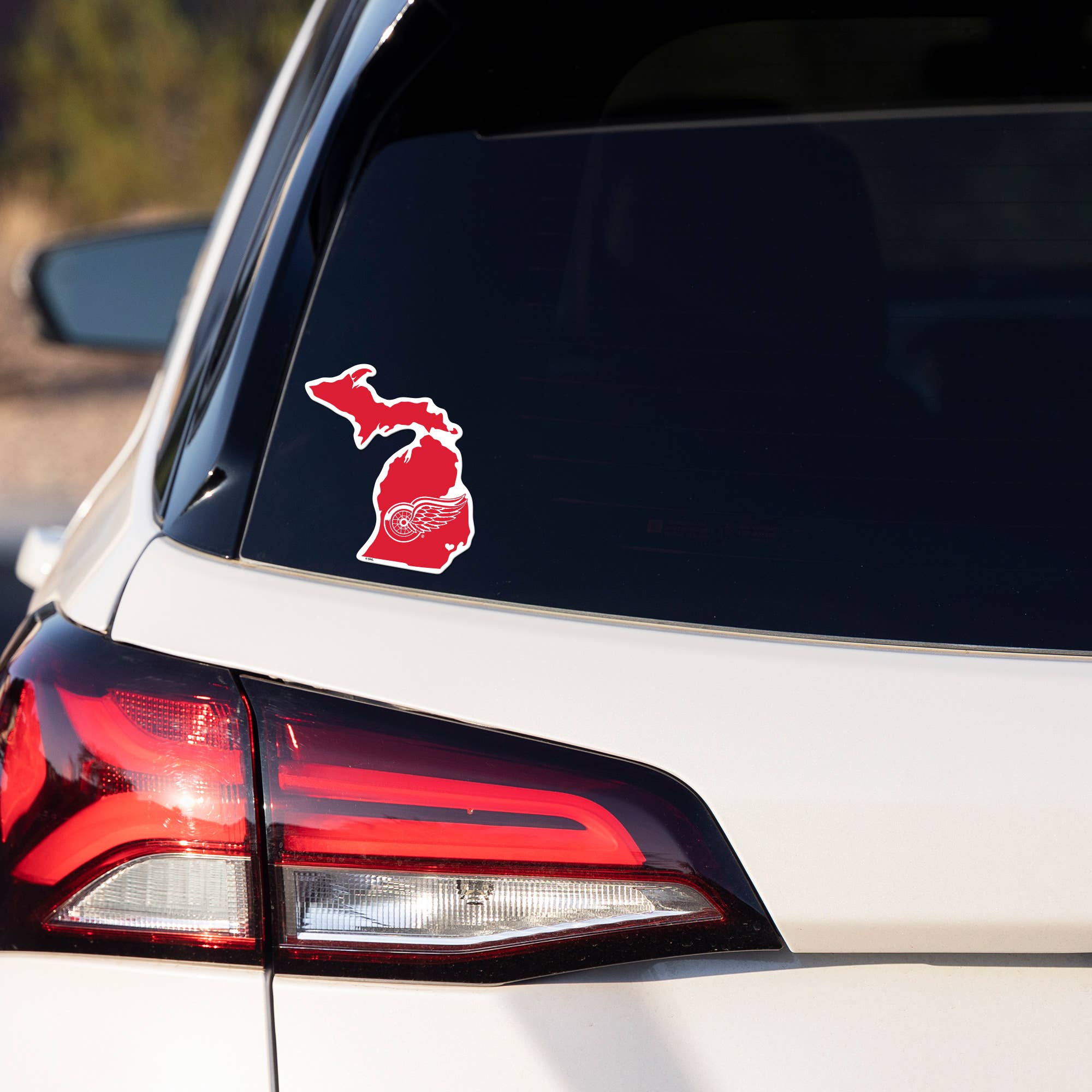 NCAA  Florida Gators  Home State Sticker