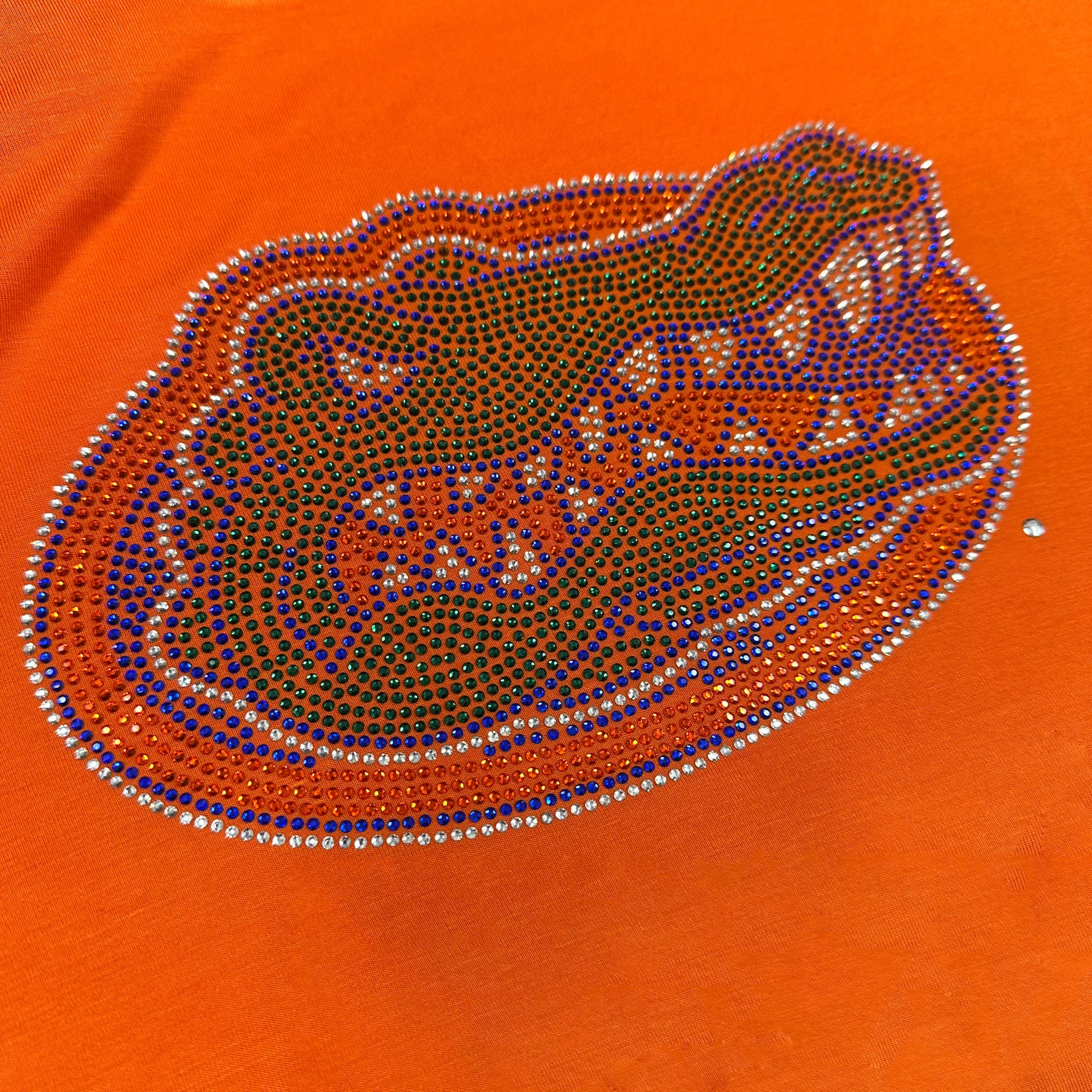 Florida Gators Rhinestone Avery Jersey
