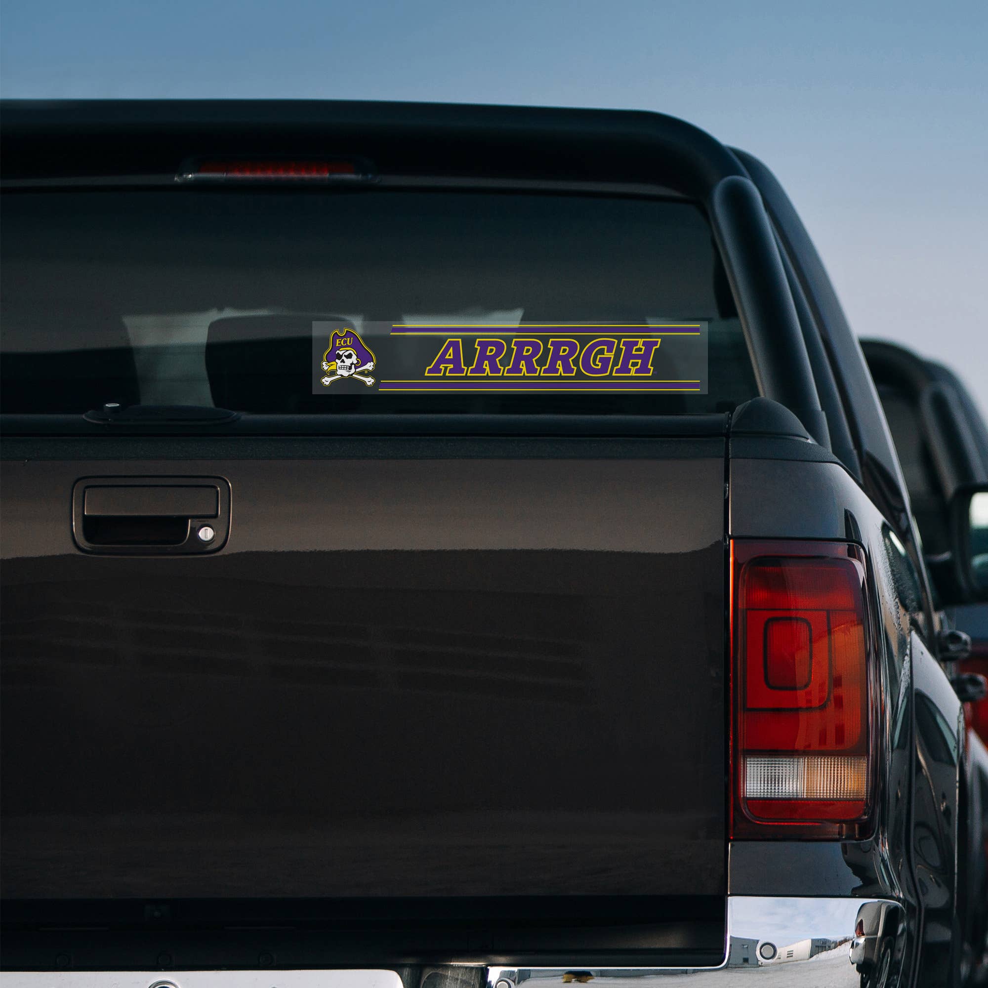 NCAA  Florida Gators  Tailgate Sticker