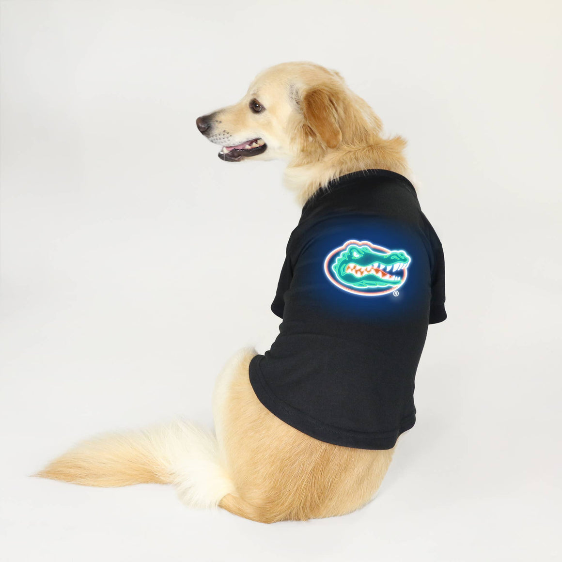 Baltimore Ravens Pet Fan Chain