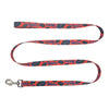 NCAA Florida Gators Pet Team Lead