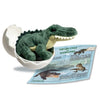 Alligator Hatchling Point of Sale Display