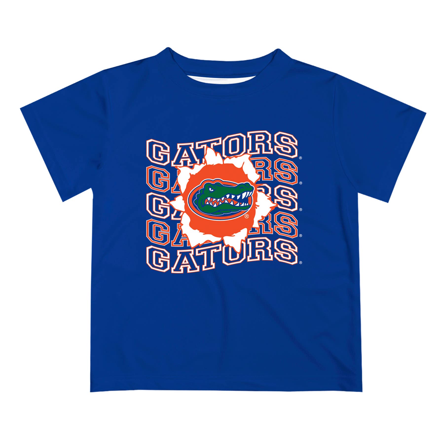 Florida Gators Art V1 Short Sleeve T-shirt: Blue / L