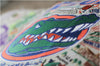 University of Florida Embroidered Pillow