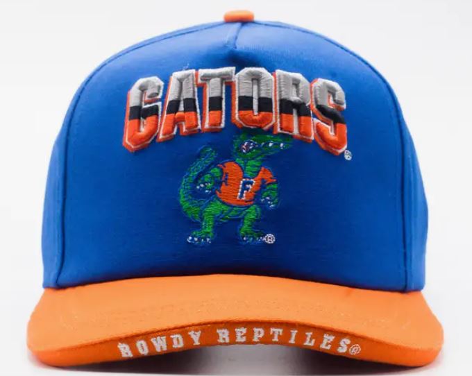 Florida Gators Big Logo Snapback