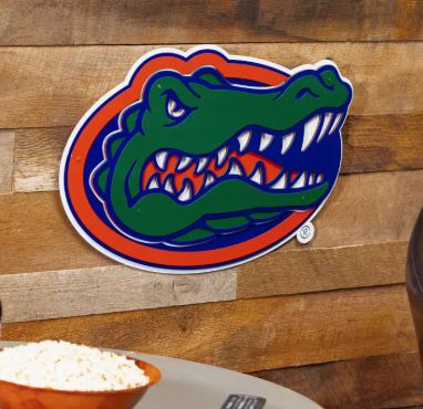 Florida Gator Layered Metal Wall Art