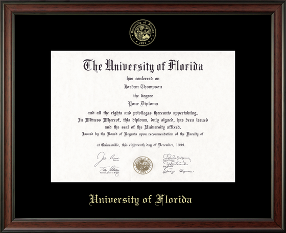 Gold Embossed Studio Diploma Frame-321532