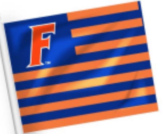 Florida Gators American Car Flag