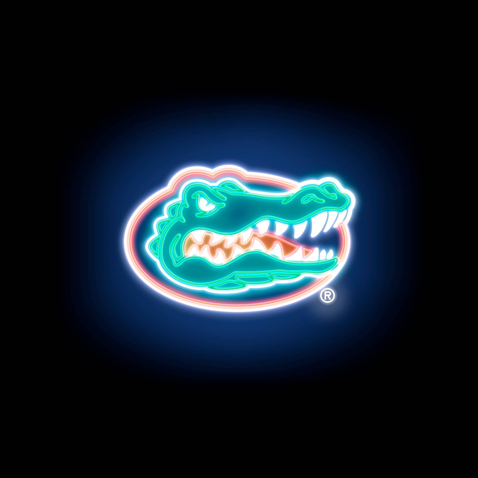 NCAA Florida Gators Neon Pet T-Shirt