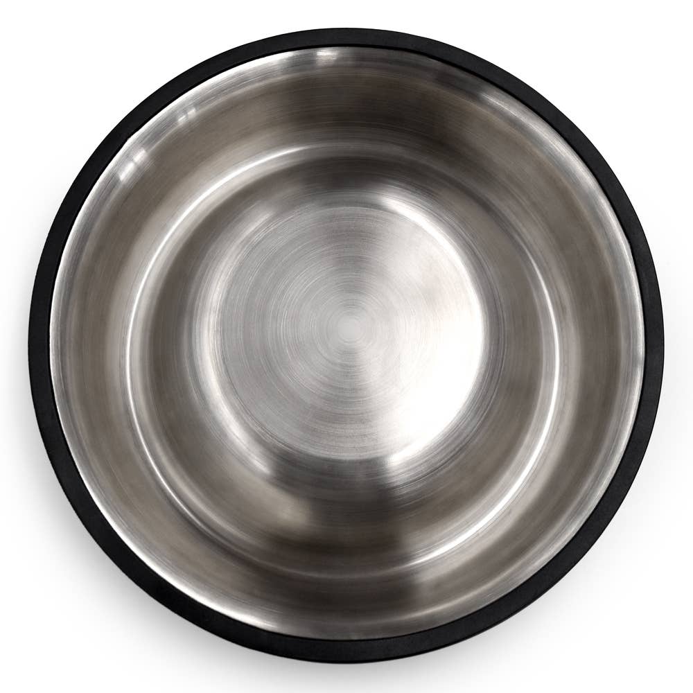 NCAA Florida Gators Everyday Pet Bowl