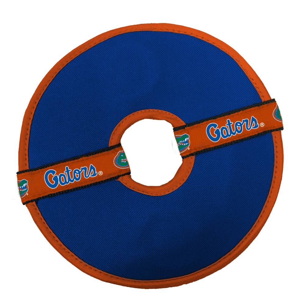 University of Florida - Frisbee