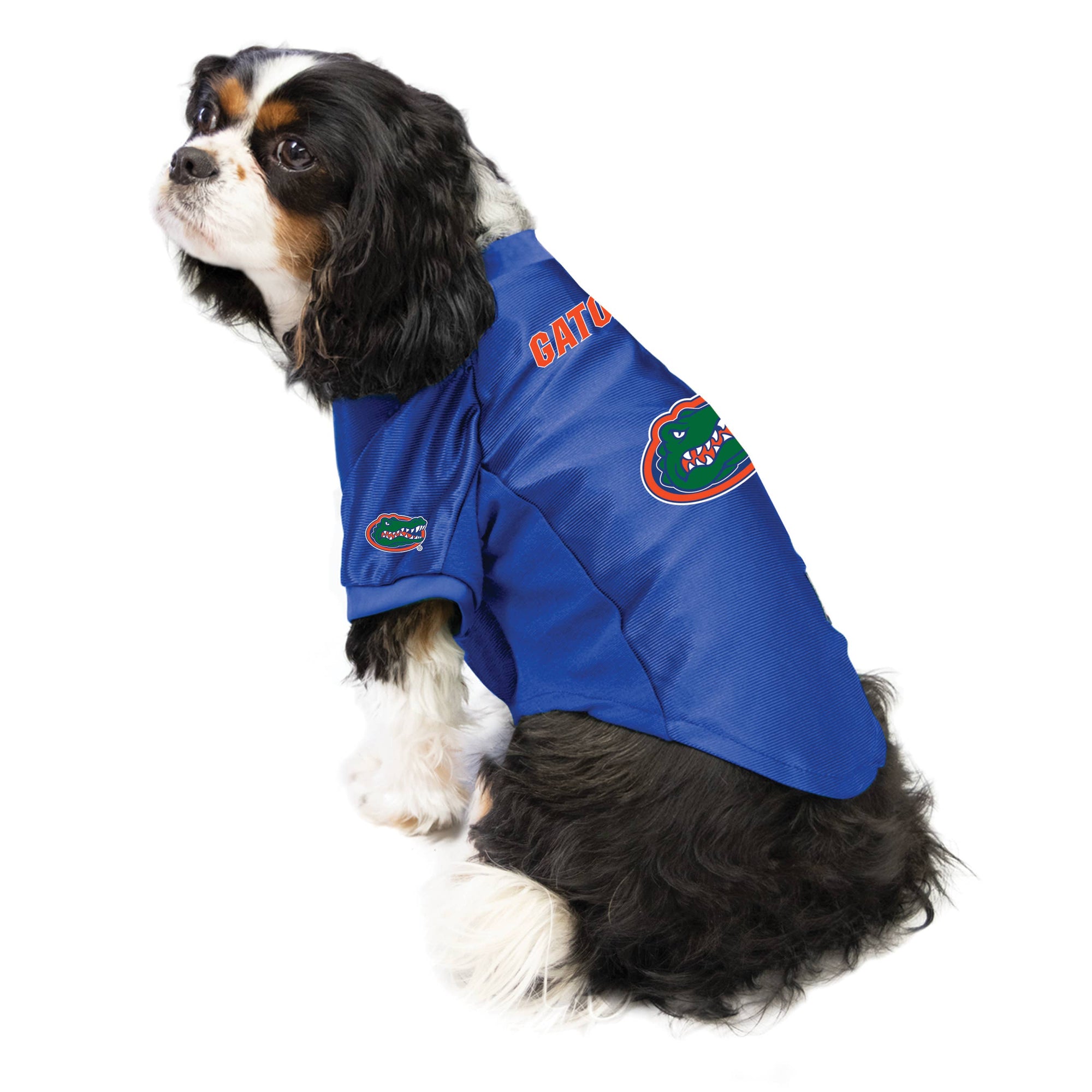 NCAA Florida Gators Pet Stretch Jersey