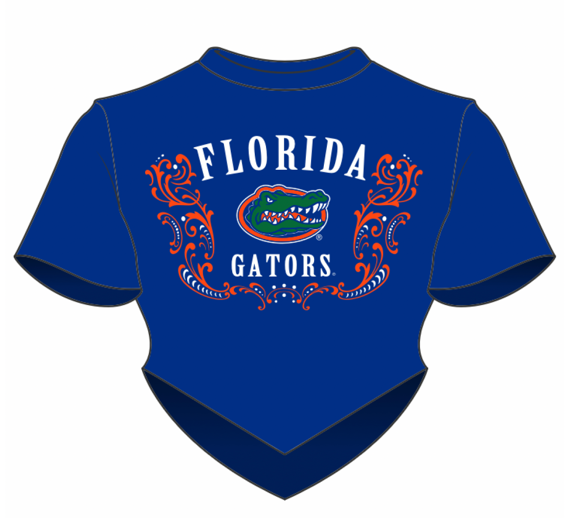Florida Gators Astro Tee: XS