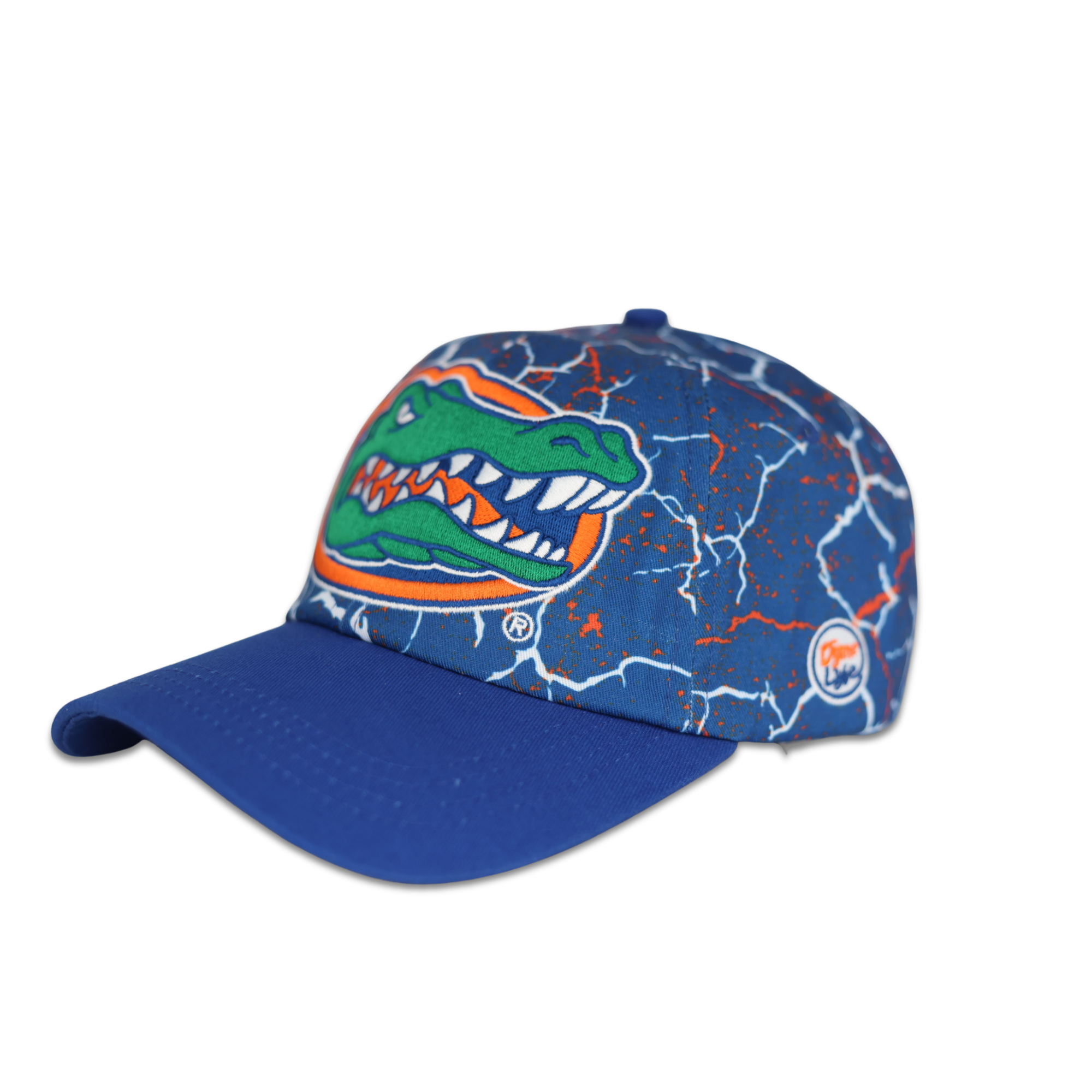 Florida Gators Storm Dad Hat