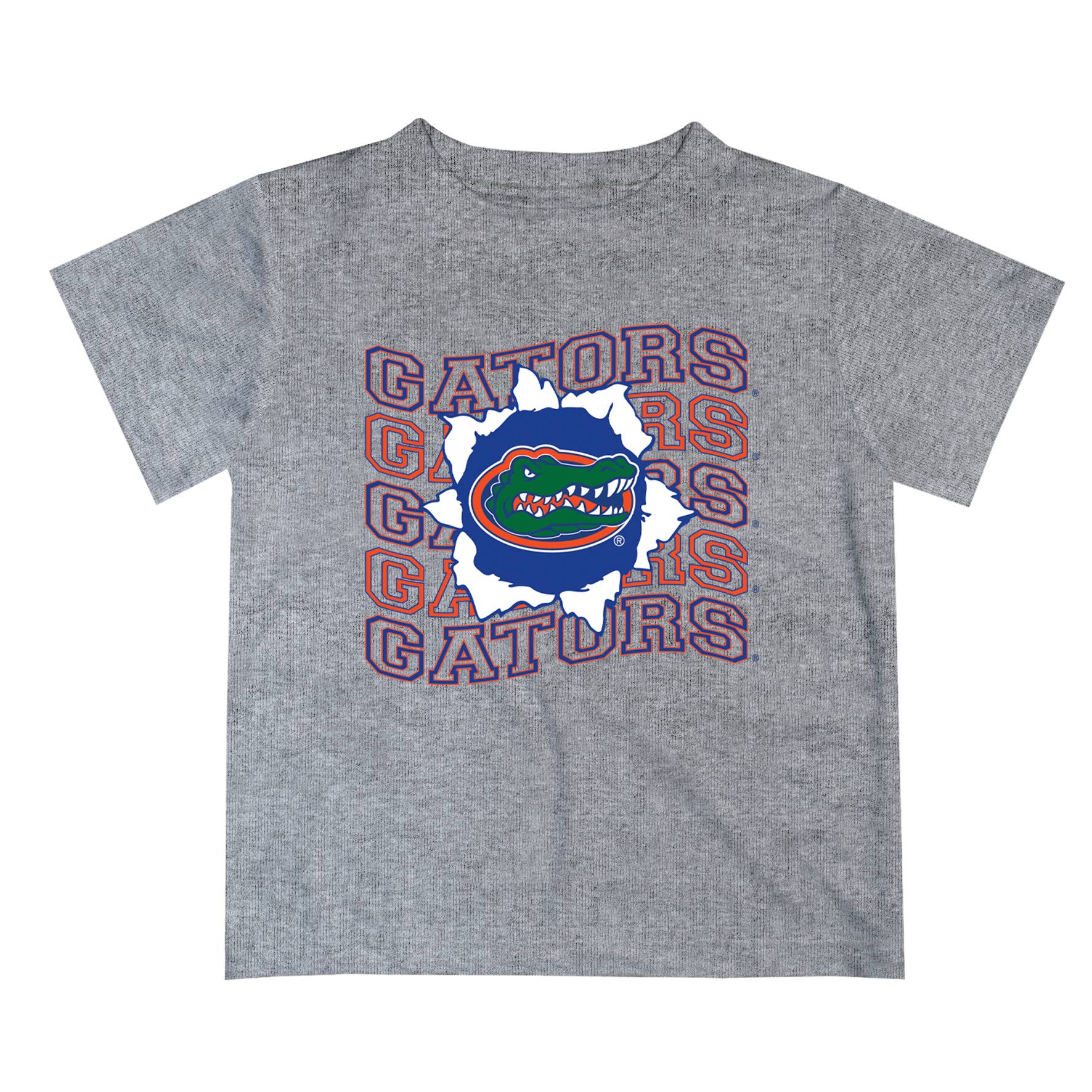Florida Gators Art V1 Short Sleeve T-shirt: Orange / M