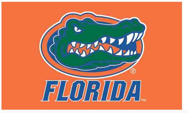 Florida Gators 3X5/6X10 Flag