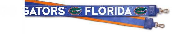 Florida Purse Strap by Desden: Default Value
