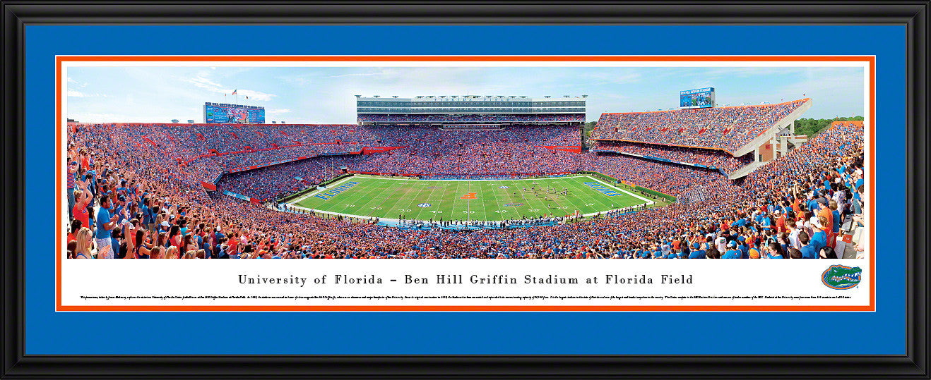 Deluxe Panoramic FL Swamp Stadium