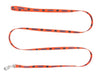 Florida Gators Pet Lead